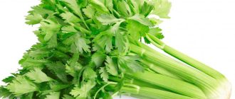 Celery: A Nutritious and Versatile Vegetable